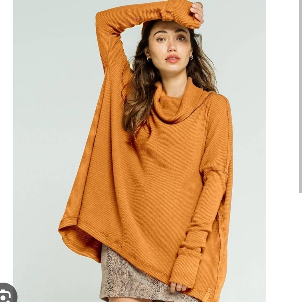 NWT Free People Juicy Long Sleeves in Canyon Moon